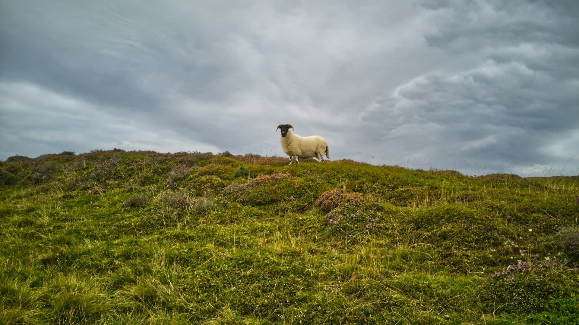 The Lyke Wake Challenge — photo 4