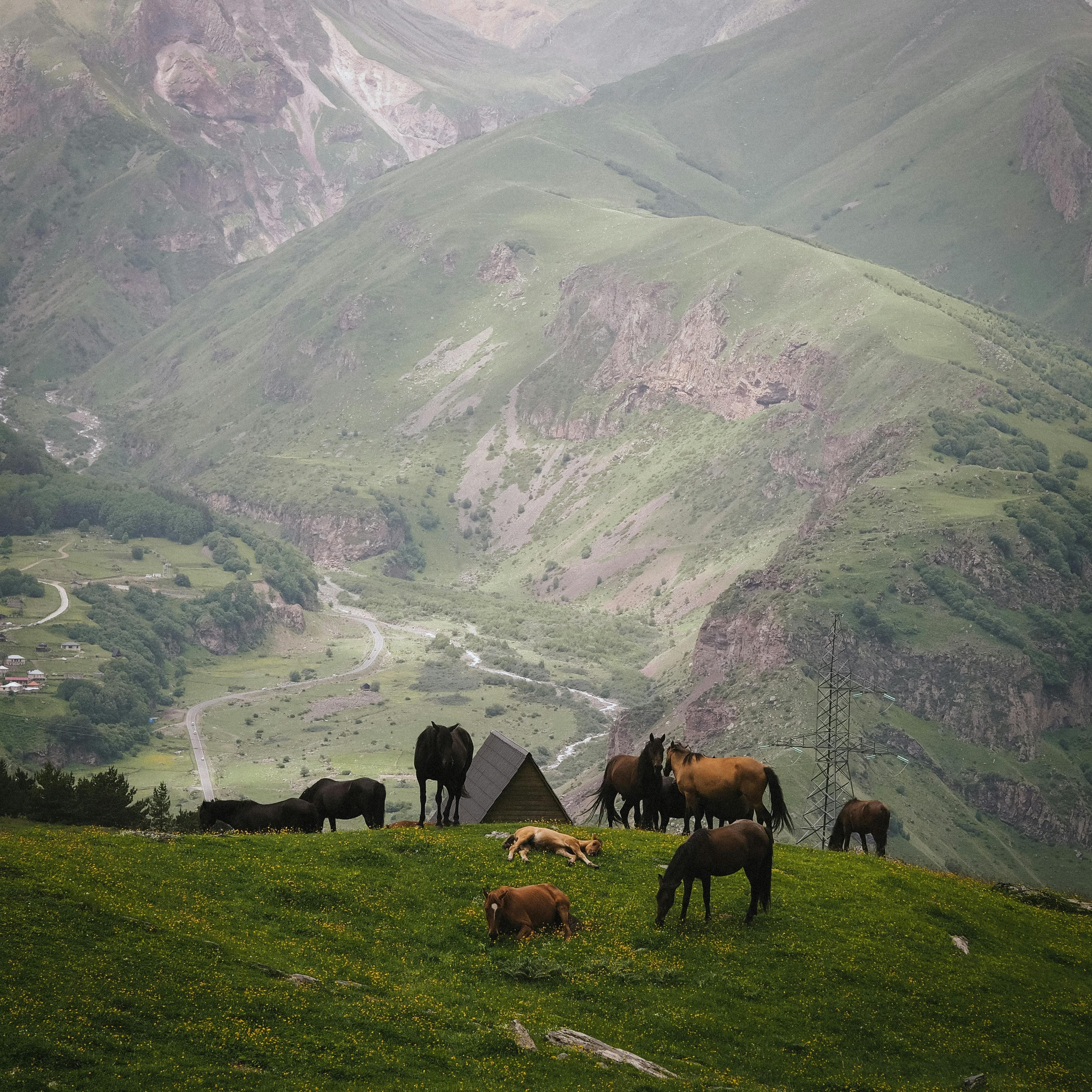 Georgia: Kazbegi & The Caucasus — photo 4