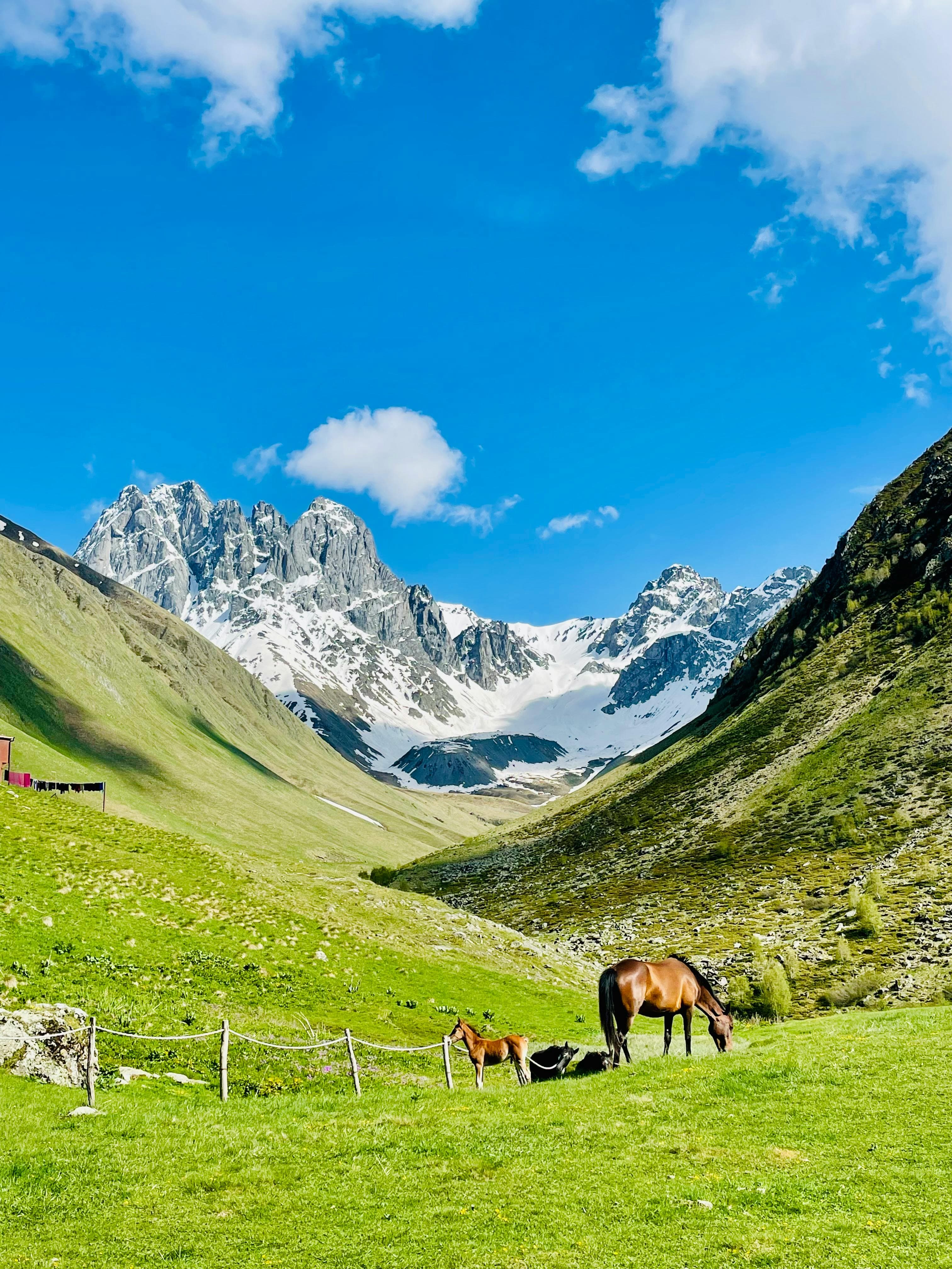 Georgia: Kazbegi & The Caucasus — photo 6