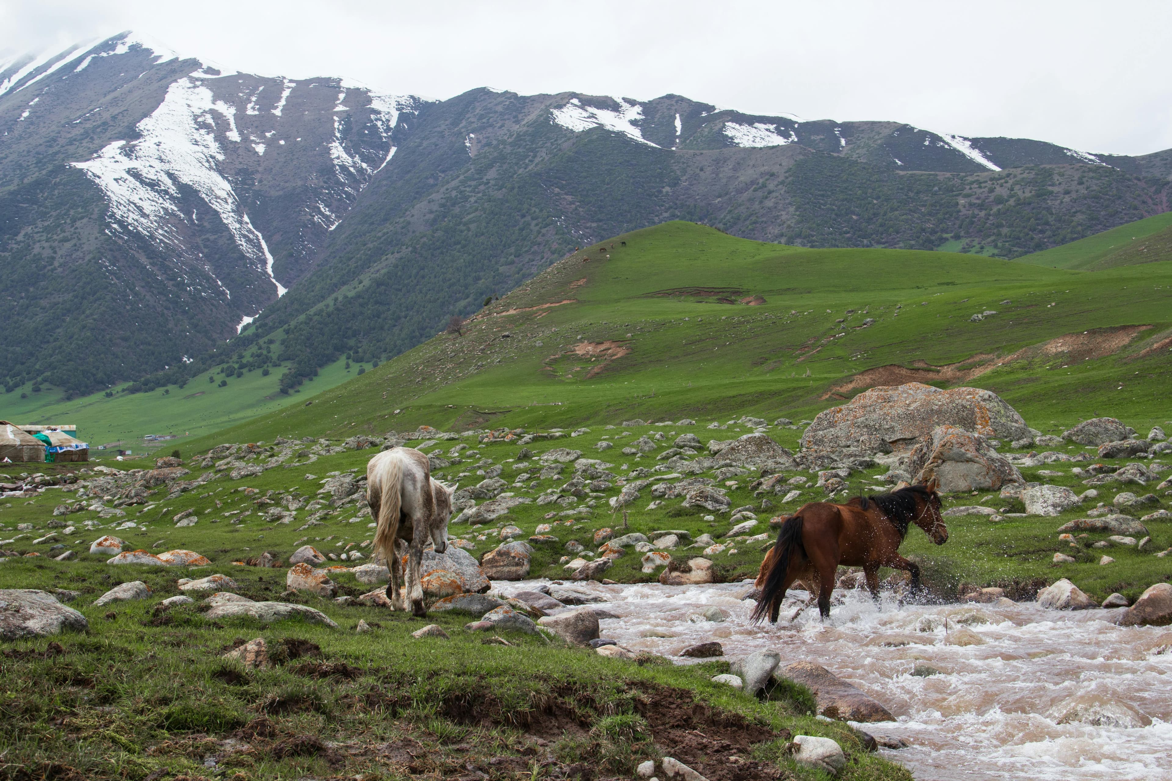 Kyrgyzstan: Tian Shan High Route — photo 3